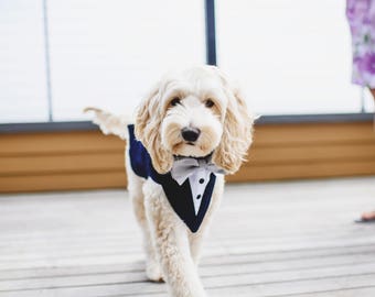 Navy wedding dog tuxedo, dog formal wear , dog wedding tuxedo , dog ring bearer, dog bandanna, dog bow tie , dog wedding outfit, dog leash.