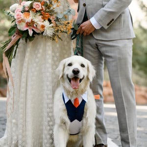 Może przedstawiać: Uśmiechnięty golden retriever w granatowej kamizelce i pomarańczowym krawacie, stojący między panną młodą w koronkowej sukni a panem młodym w szarym garniturze. Panna młoda trzyma bukiet kwiat&oacute;w.