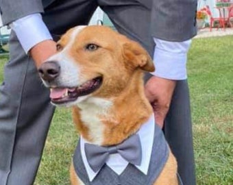 Large and EX Large  dog Harness Wedding tuxedo , Dog wedding attire, dog suit , dog harness