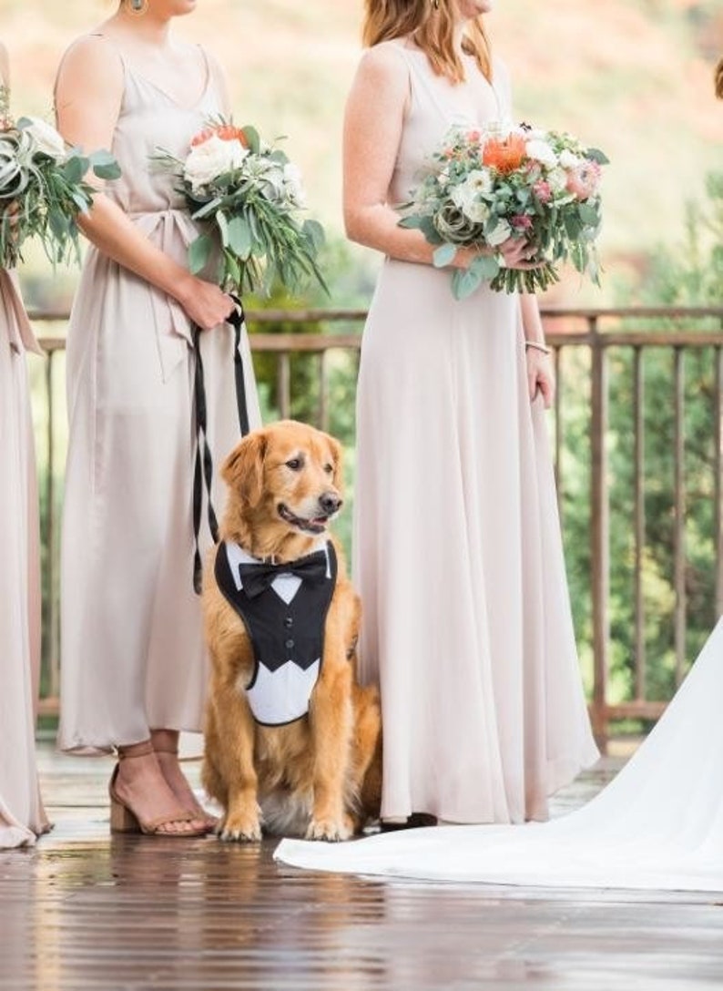 Extra large & large dog wedding harness wedding dog Etsy