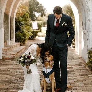 Peut inclure: Une mari&eacute;e et un mari&eacute; se marient avec leur chien habill&eacute; en smoking. Le chien est un golden retriever et porte un gilet de smoking bleu et blanc avec un n&oelig;ud papillon. La mari&eacute;e porte une robe de mari&eacute;e blanche et le mari&eacute; porte un costume bleu fonc&eacute; avec une cravate rouge.