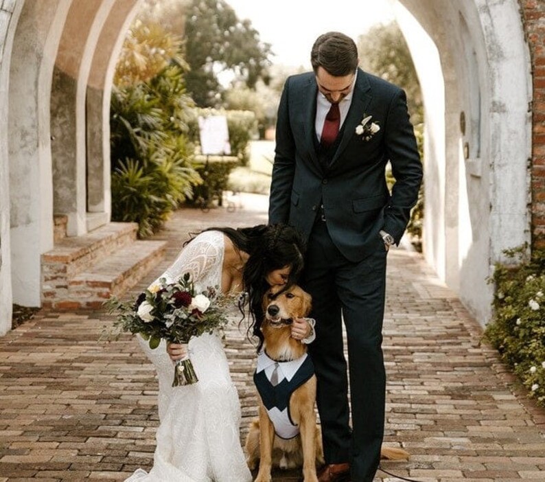 Peut inclure: Une mari&eacute;e et un mari&eacute; se marient avec leur chien habill&eacute; en smoking. Le chien est un golden retriever et porte un gilet de smoking bleu et blanc avec un n&oelig;ud papillon. La mari&eacute;e porte une robe de mari&eacute;e blanche et le mari&eacute; porte un costume bleu fonc&eacute; avec une cravate rouge.