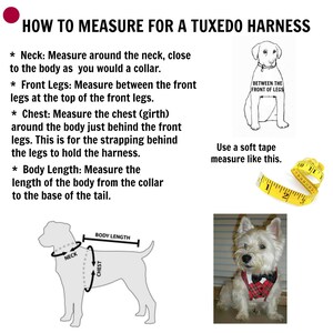 Peut inclure: Diagramme montrant comment mesurer un chien pour un harnais de smoking. Le diagramme montre un chien avec des lignes indiquant o&ugrave; mesurer le cou, la poitrine et la longueur du corps. Le texte explique comment mesurer chaque partie du corps du chien.