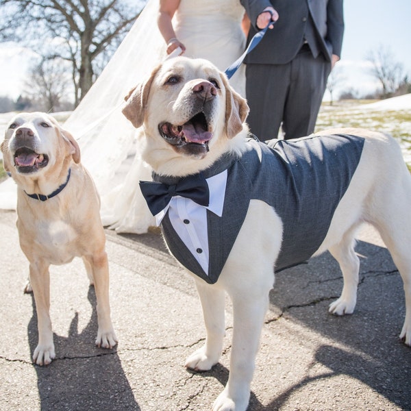 Large dog tuxedo,large dog wedding tuxedo  , large dog Bandanna, large dog wedding attire , large dog suit