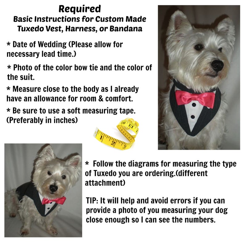 Wedding Tuxedo for dogs . Formal Dog Tuxedo, Custom Made Suit, dog clothing . ringbearer ,dog bandana,pet clothing,bow tie,wedding attire image 3