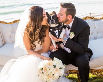 Black  formal dog tuxedo, dog wedding tuxedo , dog attire , pet clothing , dog bow tie , dog bandana  dog suit, custom fit  tuxedo