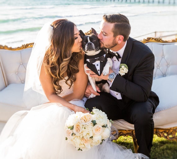 Black Formal Dog Tuxedo, Dog Wedding Tuxedo , Dog Attire , Pet Clothing ,  Dog Bow Tie , Dog Bandana Dog Suit, Custom Fit Tuxedo 