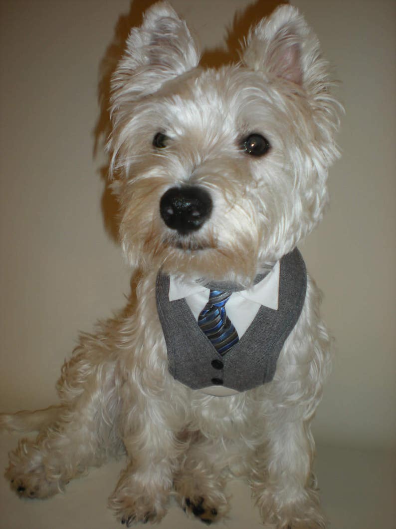 Dog Attire Dog Harness Dog Tie Dog suit Wedding Dog Harness Gray Dog Adjustable Harness with Tie Formal Dog Tuxedo