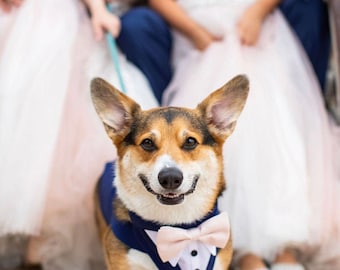Large Royal blue tuxedo .royal blue wedding attire, dog formal wedding tuxedo , dog bow tie, dog cloths, Large tuxedo , dog bandanna.