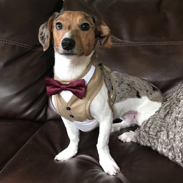 Dog Tuxedo Vest Etsy