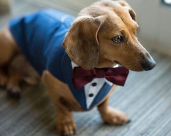 Dog wedding tuxedo ,Royal blue dog tuxedo. dog wedding  tuxedo, dog bandanna. dog tuxedo, dog formal wear, dog collar, dog . wedding  attire