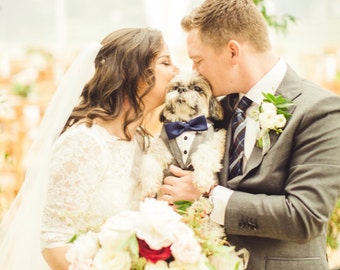 Formal Medium Gray Dog Wedding Tuxedo , custom fit ,  wedding bandana , dog wedding suit , pet clothing , bow tie ,dog wedding attire ,