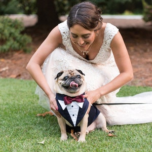 Wedding Tuxedo for dogs . Formal Dog Tuxedo, Custom Made Suit, dog clothing . ringbearer ,dog bandana,pet clothing,bow tie,wedding attire image 1