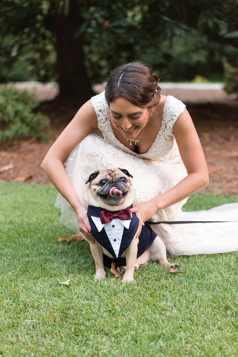 Wedding Tuxedo for dogs . Formal Dog Tuxedo, Custom Made Suit, dog clothing . ringbearer ,dog bandana,pet clothing,bow tie,wedding attire image 1