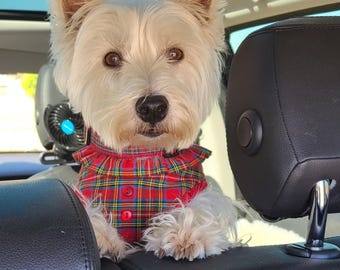 Verstelbaar Royal Stewart Tartan-hondentuig: katoenen Westie-accessoires