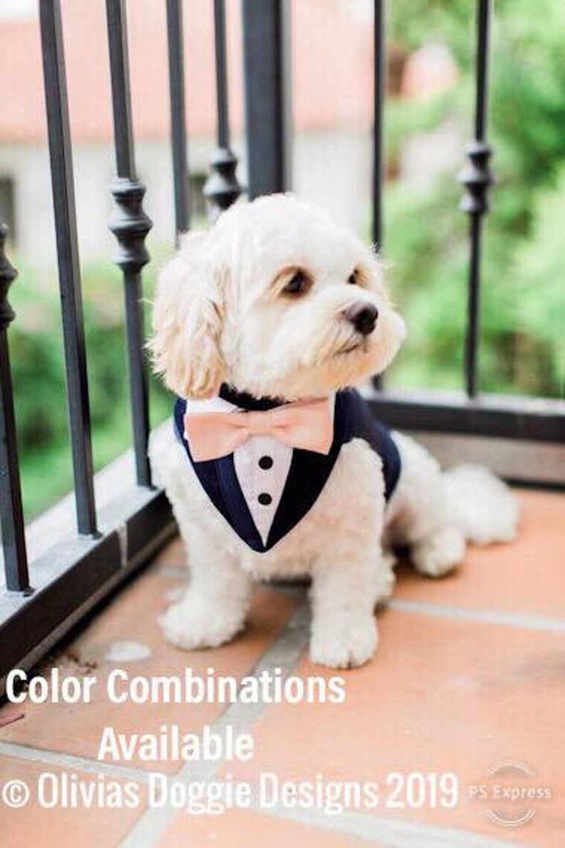 Blue Formal Dog Tuxedo Wedding Tuxedo For Dogs Custom Made image 1