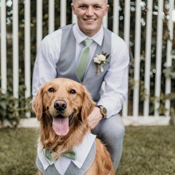 Large Formal Dog Tuxedo Dog Wedding Harness, Dog Ring Bearer