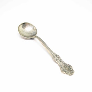 Frank M Whiting Co Sterling Silver 925 Salt Spoon vintage Silverware