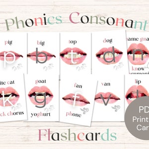 Phonics Consonant Flashcard parole son mur imprimable flashcards bouche image carte science de la lecture SLP