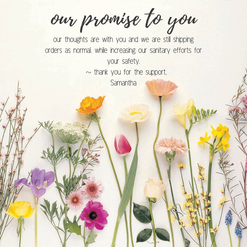 May include: A floral arrangement featuring a variety of colorful flowers, including orange poppies, pink carnations, and yellow daffodils, against a white background. The text "our promise to you" is at the top, with a message of support and thanks.