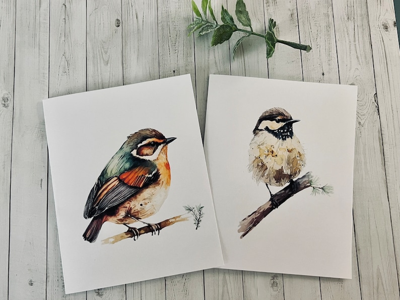 8ct Watercolor Birds Card Assortment Set 2, Cards for Him, Bird Cards ...