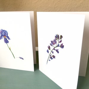 8ct Iris Card Set, Watercolor Iris Note Cards, Blank Cards, Purple Iris Cards, Watercolor Cards, Handmade cards, DesignsbyAliA image 6