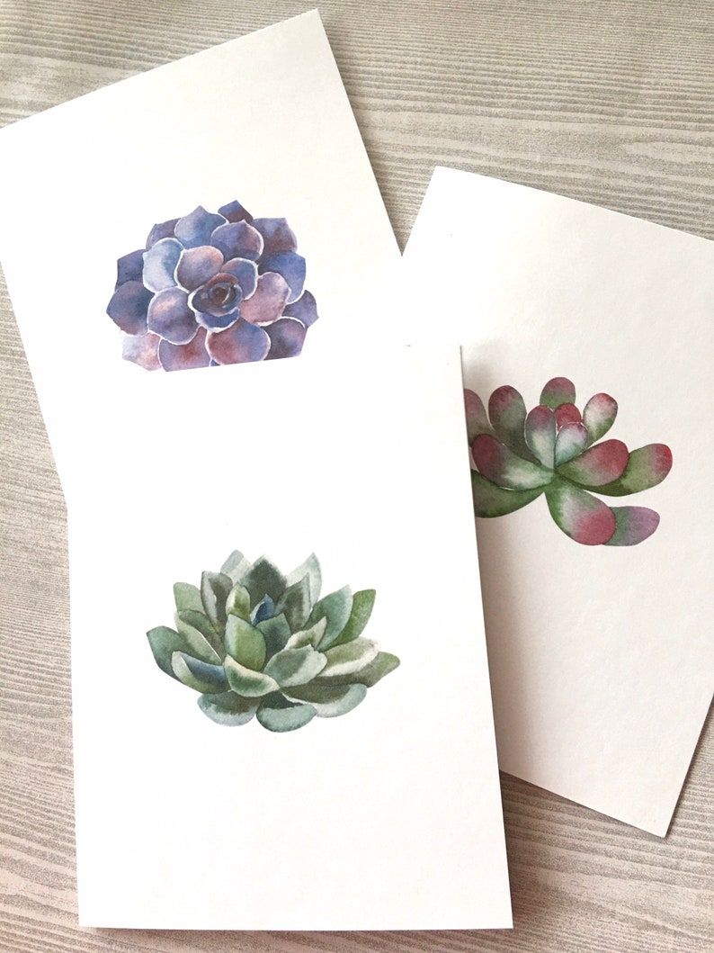 Succulent Card Set 2, Folded Note Cards, Blank Cards, Succulent Cards ...