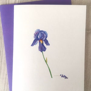 8ct Iris Card Set, Watercolor Iris Note Cards, Blank Cards, Purple Iris Cards, Watercolor Cards, Handmade cards, DesignsbyAliA image 2