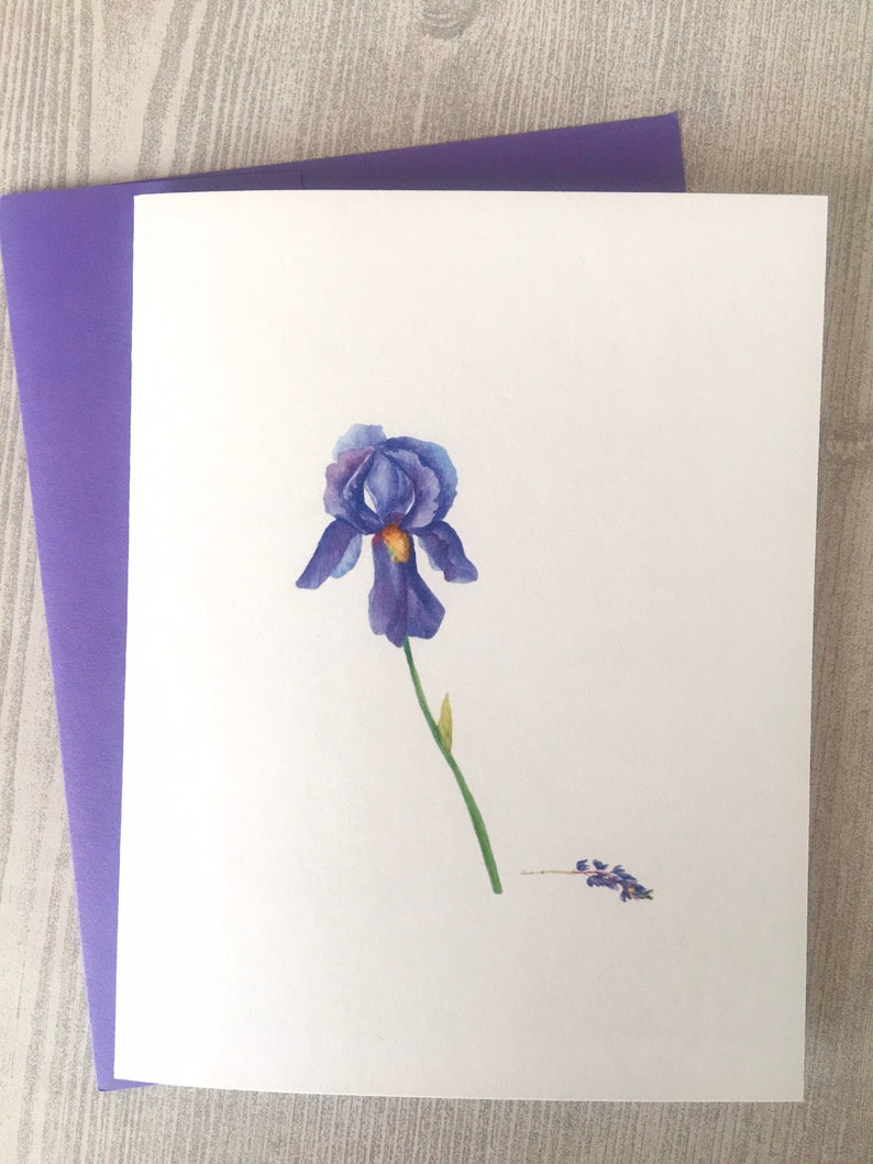 8ct Iris Card Set, Watercolor Iris Note Cards, Blank Cards, Purple Iris Cards, Watercolor Cards, Handmade cards, DesignsbyAliA image 2