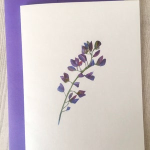 8ct Iris Card Set, Watercolor Iris Note Cards, Blank Cards, Purple Iris Cards, Watercolor Cards, Handmade cards, DesignsbyAliA image 4