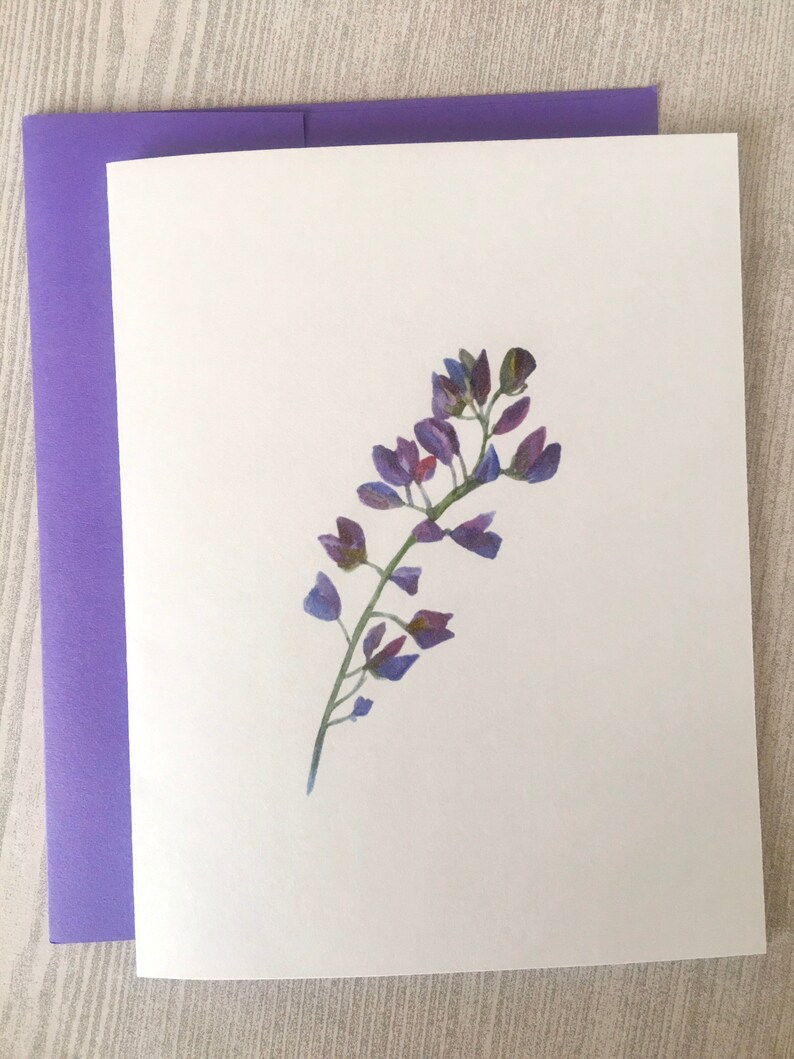 8ct Iris Card Set, Watercolor Iris Note Cards, Blank Cards, Purple Iris Cards, Watercolor Cards, Handmade cards, DesignsbyAliA image 4