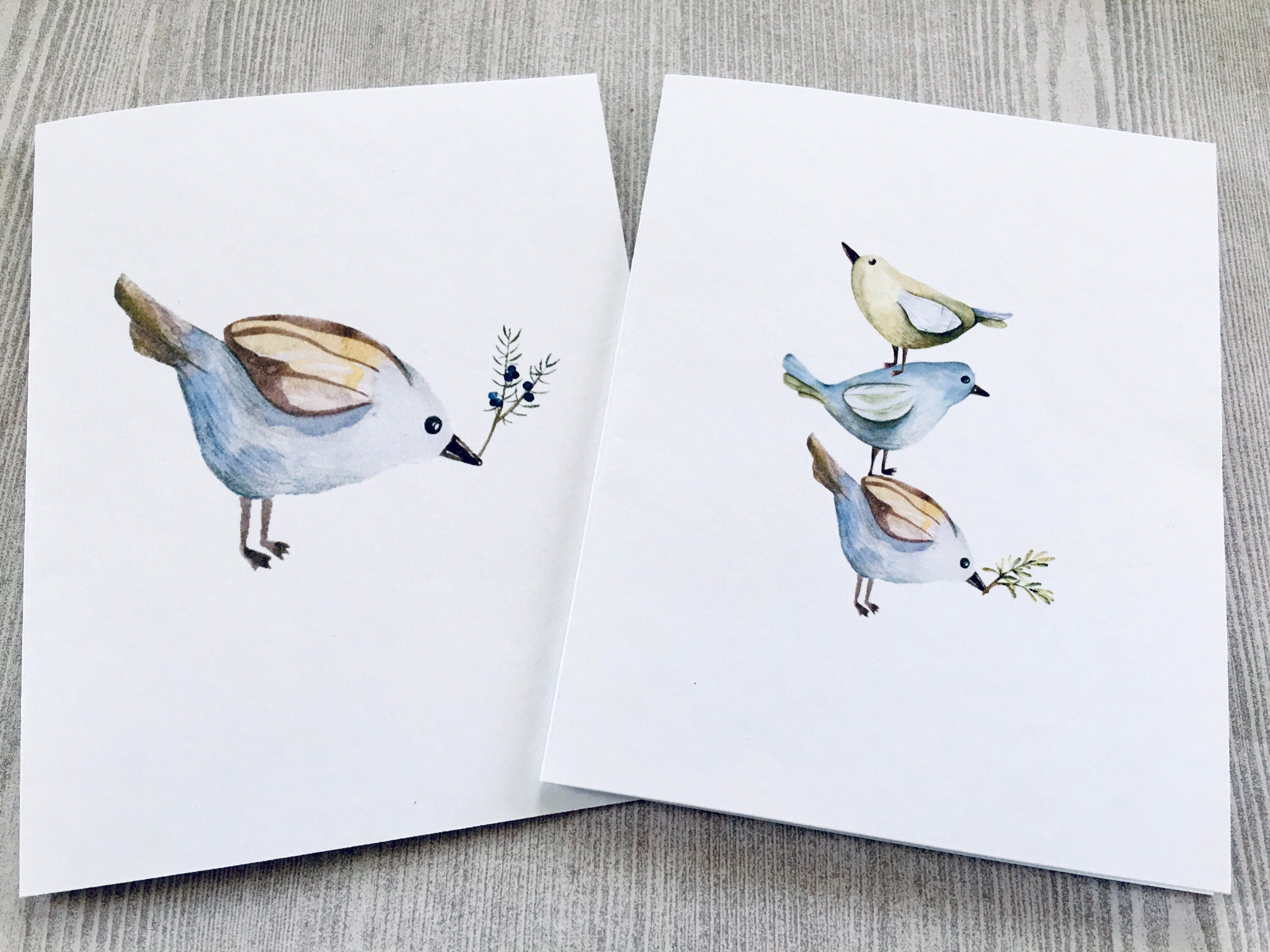 8ct Watercolor Birds Card Assortment, Watercolor Note Cards, Folded ...