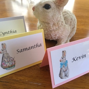 May include: Three place cards with bunny illustrations and names Cynthia, Samantha, and Kevin. The place cards are yellow, pink, and light gray.