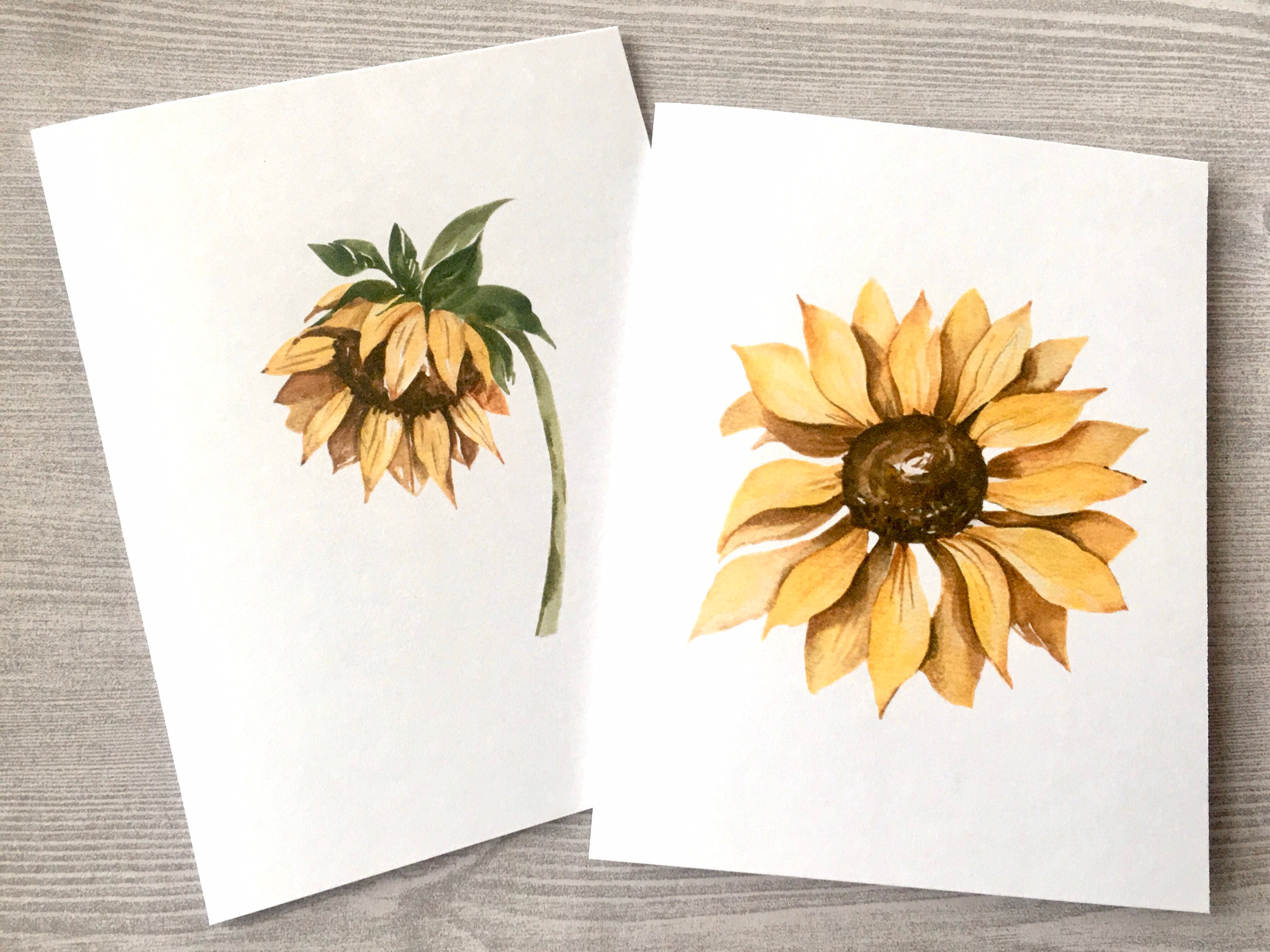 8ct Sunflower Card Set 1, Watercolor Sunflower Cards, Blank Cards ...