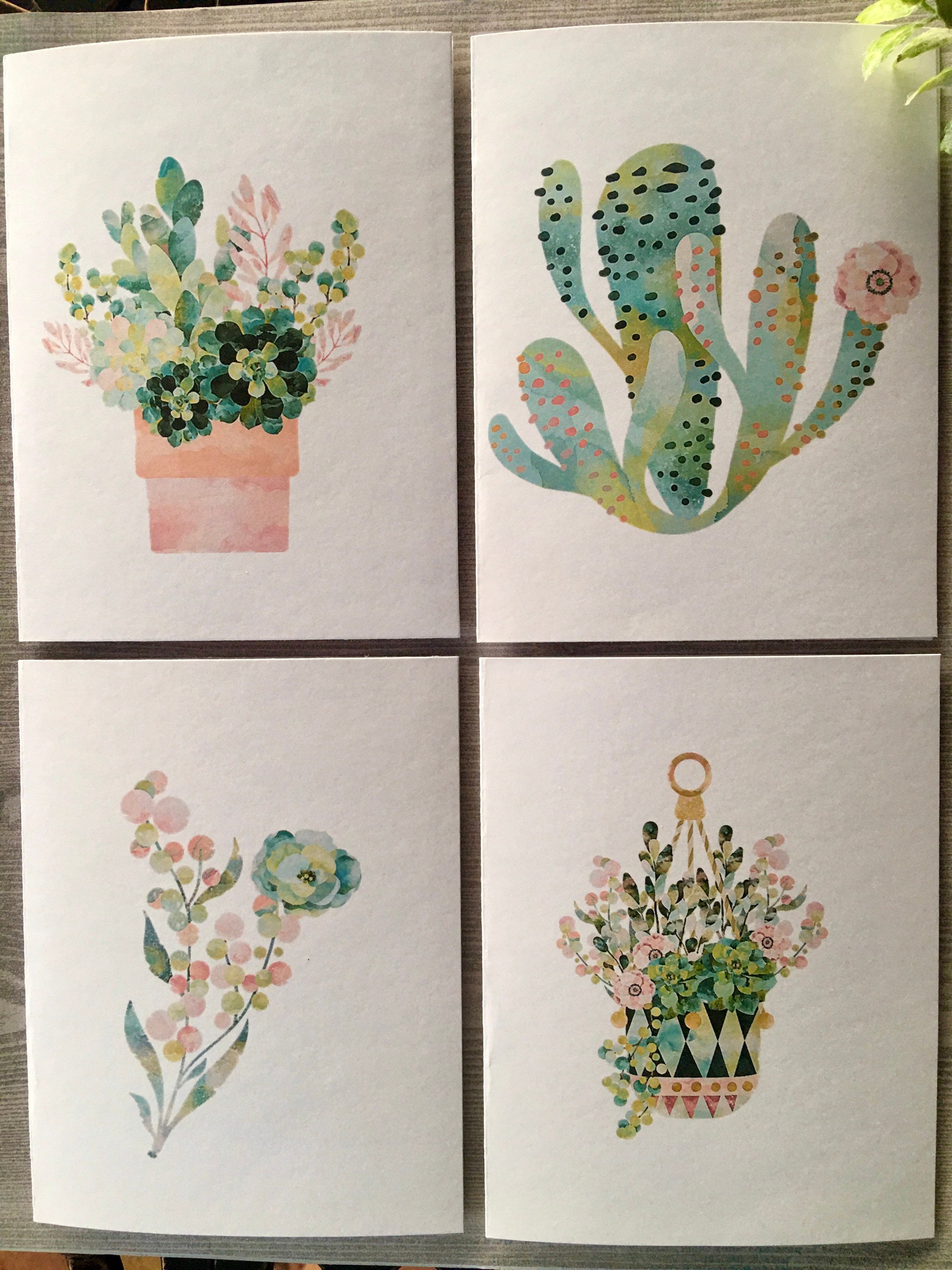 8ct Succulent Card Set, Folded Note Cards, Blank Cards, Succulent Cards ...