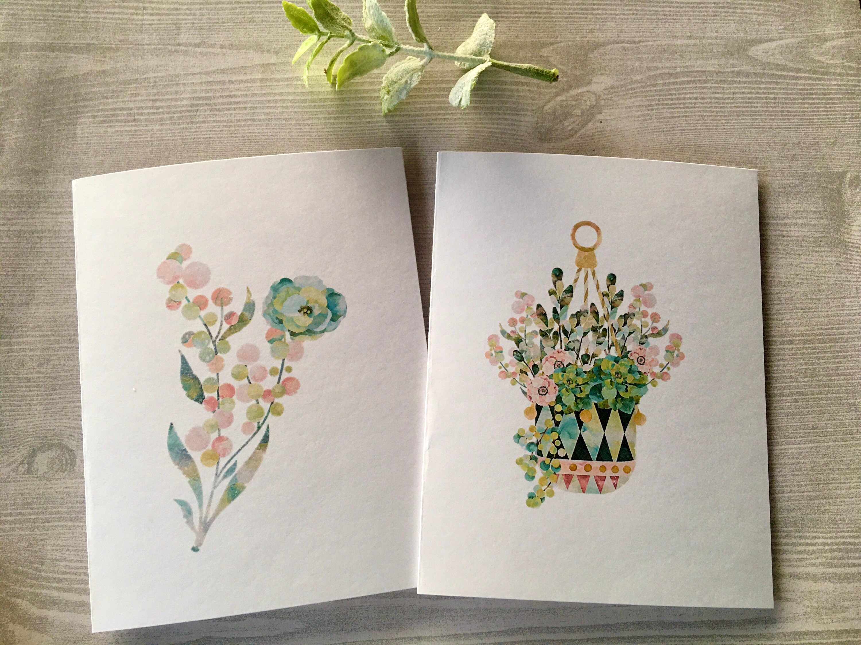 8ct Succulent Card Set, Folded Note Cards, Blank Cards, Succulent Cards ...