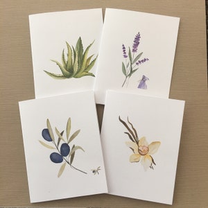 May include: Four blank greeting cards with watercolor illustrations of an aloe plant, lavender flowers, a sprig of olives, and a daffodil.