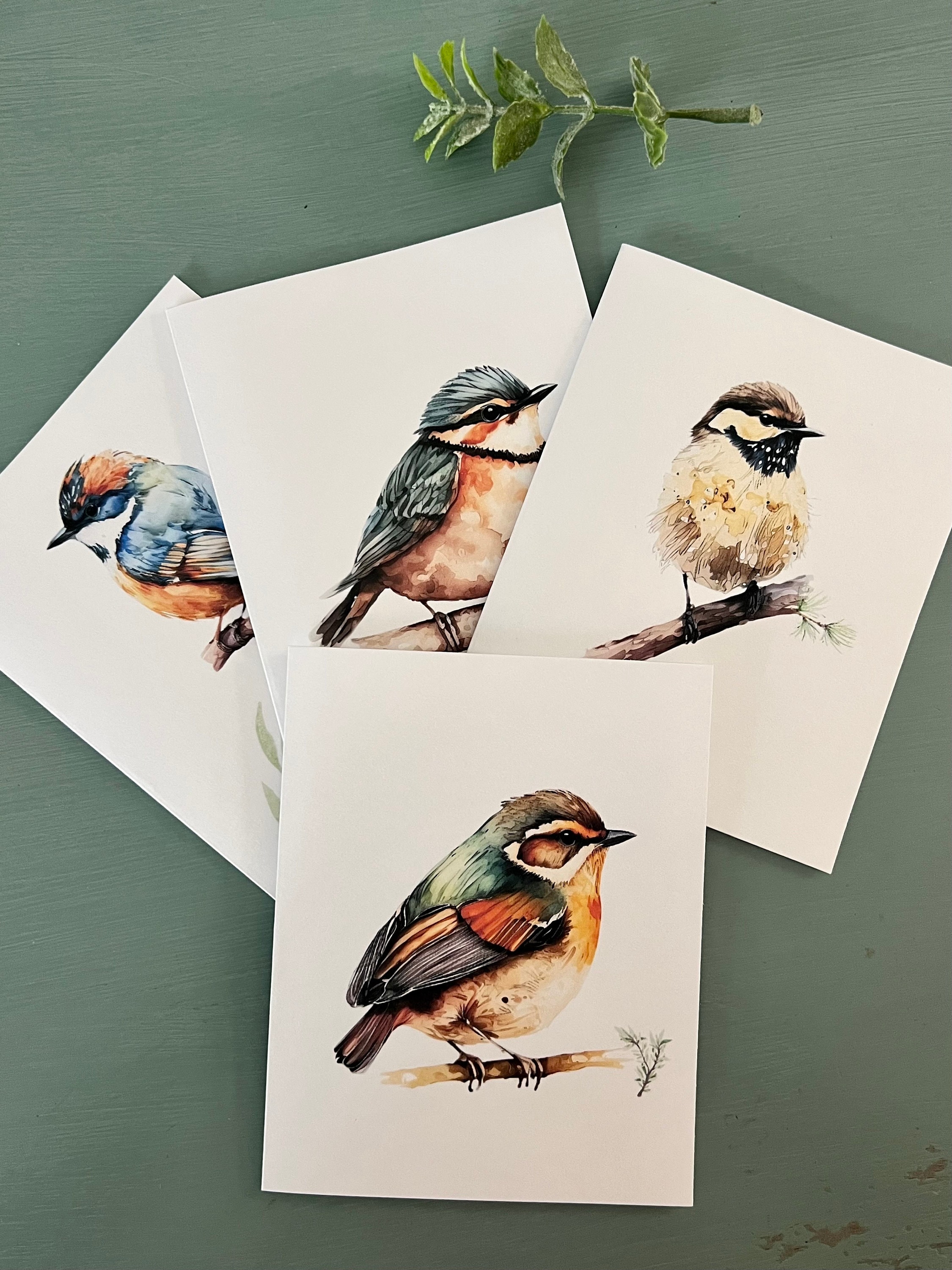 8ct Watercolor Birds Card Assortment Set 2, Cards for Him, Bird Cards ...