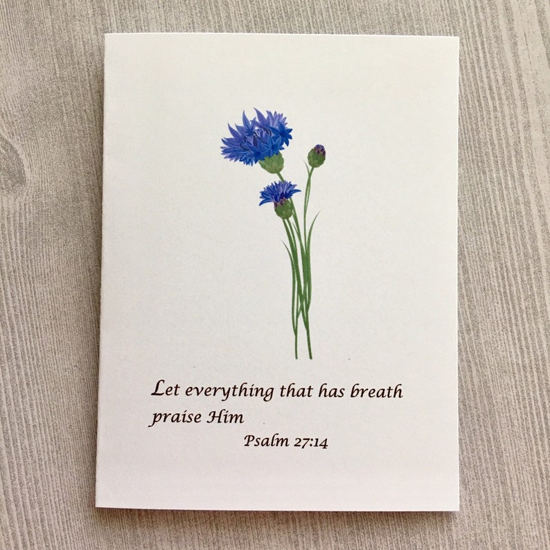 8 Ct Scripture Card Set Encouragement Cards Thinking of You  Etsy