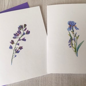 8ct Iris Card Set, Watercolor Iris Note Cards, Blank Cards, Purple Iris Cards, Watercolor Cards, Handmade cards, DesignsbyAliA image 3