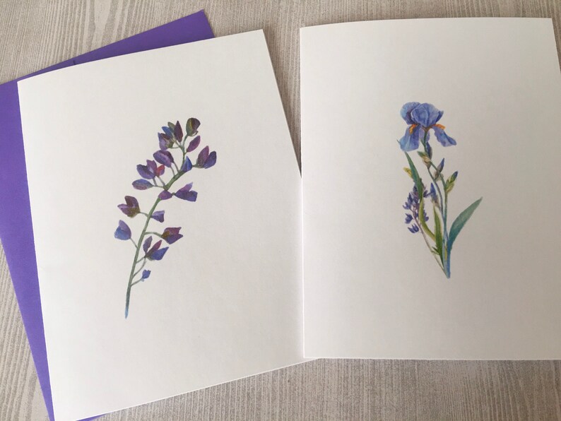 8ct Iris Card Set, Watercolor Iris Note Cards, Blank Cards, Purple Iris Cards, Watercolor Cards, Handmade cards, DesignsbyAliA image 3