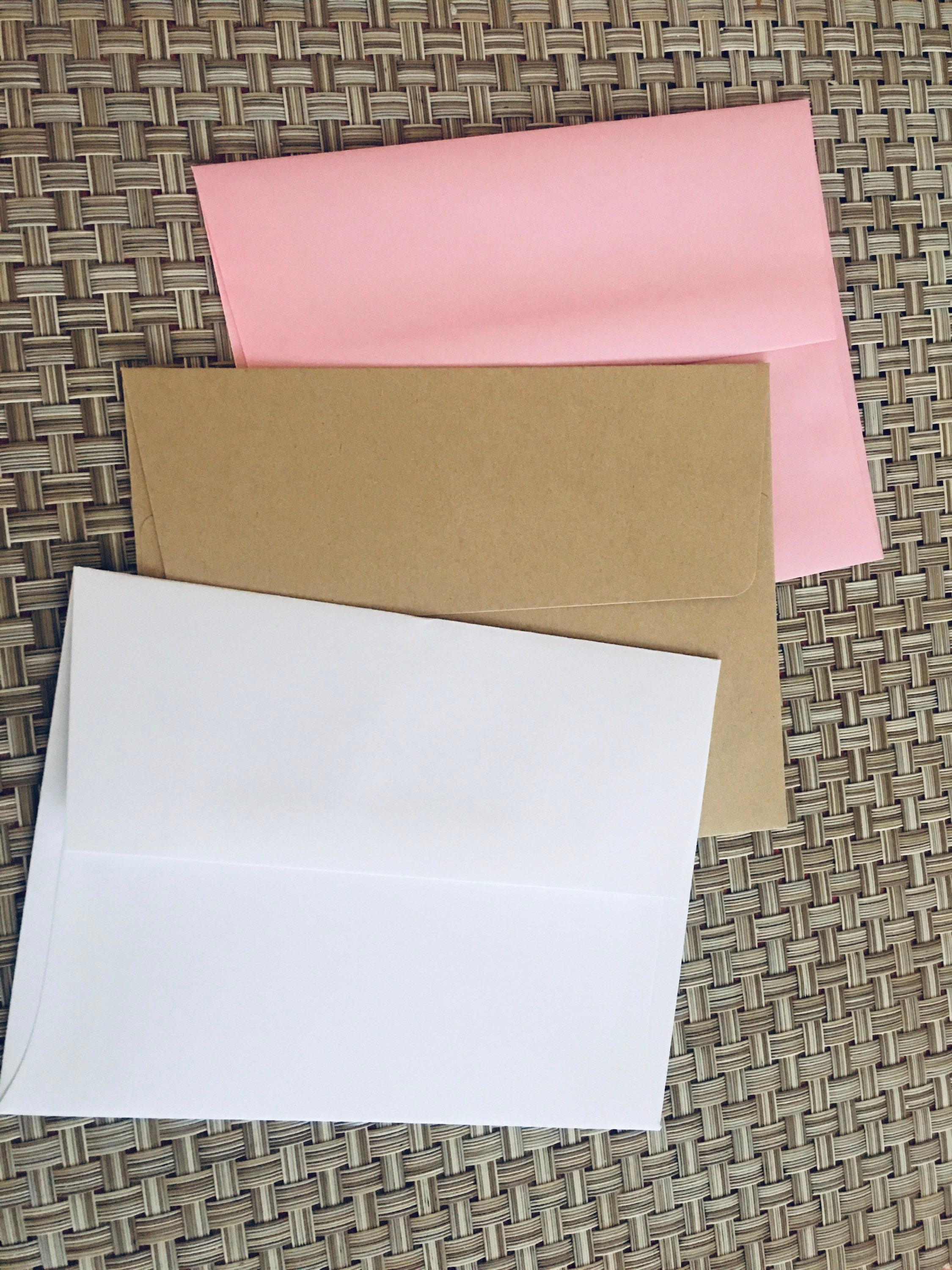 8ct Succulent Card Set, Folded Note Cards, Blank Cards, Succulent Cards ...
