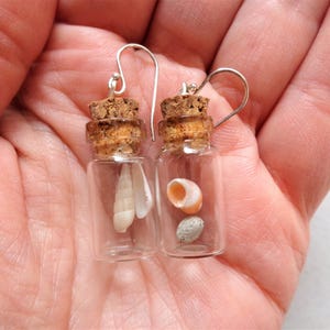 Pendientes de terrario Beach in the bottle: plata de ley, conchas marinas australianas imagen 8