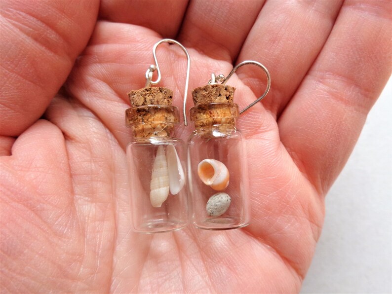 Pendientes de terrario Beach in the bottle: plata de ley, conchas marinas australianas imagen 8