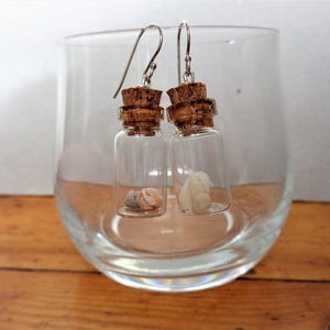 Pendientes de terrario Beach in the bottle: plata de ley, conchas marinas australianas imagen 13