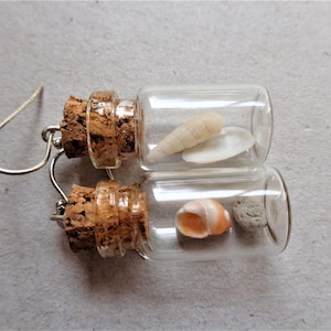 Pendientes de terrario Beach in the bottle: plata de ley, conchas marinas australianas imagen 7