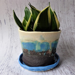 Peut inclure: Un pot de plante en céramique avec un extérieur émaillé bleu, blanc et noir, contenant une plante serpent. Le pot repose sur une soucoupe bleue assortie. La plante serpent a des feuilles vertes avec des bords jaunes.