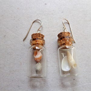Pendientes de terrario Beach in the bottle: plata de ley, conchas marinas australianas imagen 1