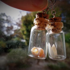 Pendientes de terrario Beach in the bottle: plata de ley, conchas marinas australianas imagen 15