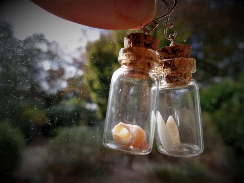 Pendientes de terrario Beach in the bottle: plata de ley, conchas marinas australianas imagen 15